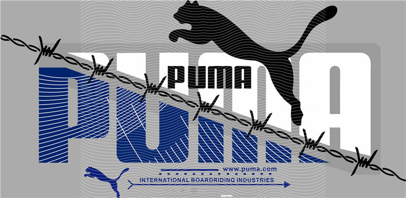 latest edition-KNY 310